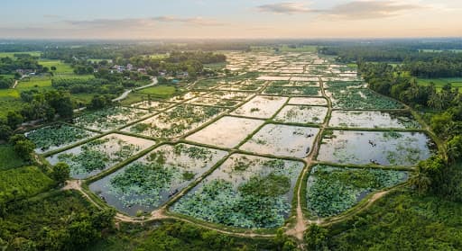 Wetlands of Bihar